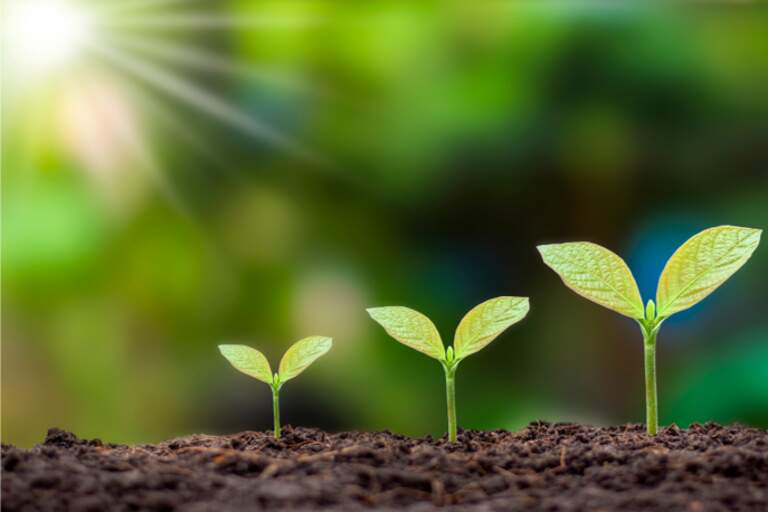 Promise of Eternal Life/Pathos & Glory: Part 1