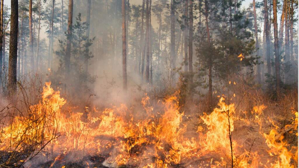 Air Quality Health Alert: Take Action